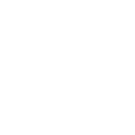 Porsches 911 personnalisées